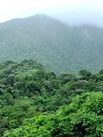 El Yunque rainforest Puerto Rico