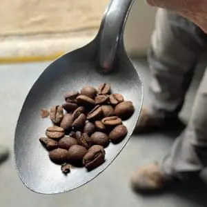 Roasted Coffee Beans from Puerto Rico
