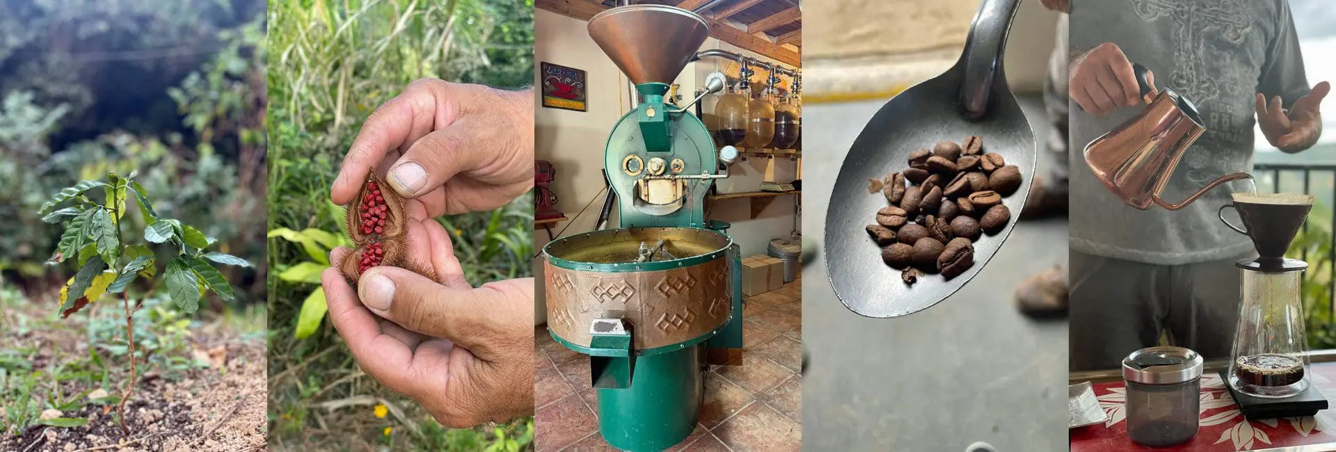 Coffee hacienda in Puerto Rico