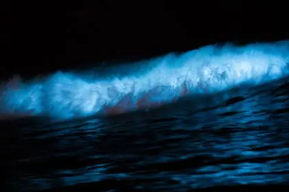 bioluminescent bay at night in Puerto Rico