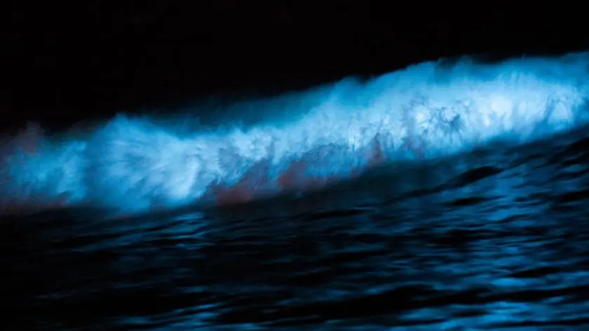 bioluminescent bay at night in Puerto Rico