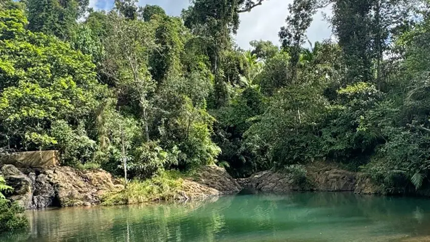 hiking trail Charco Azul in Puerto Rico
