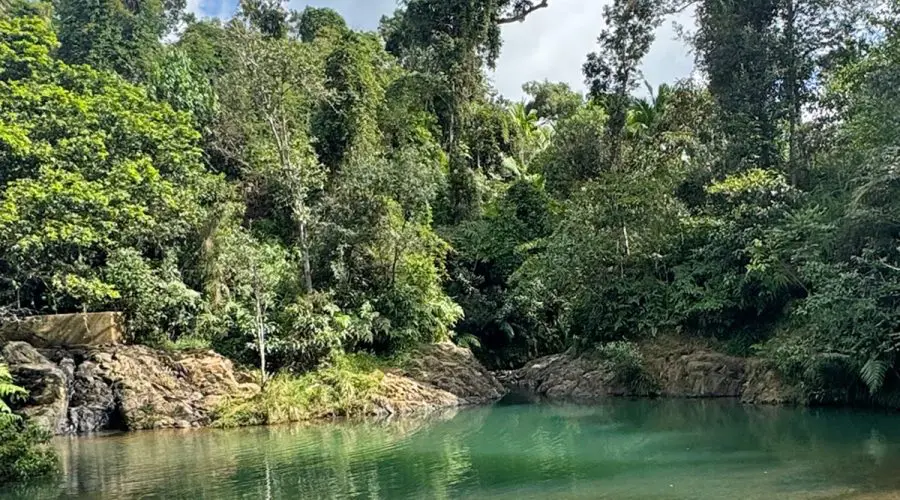 hiking trail Charco Azul in Puerto Rico