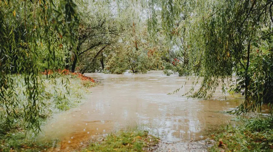 flash flooding in Puerto Rico